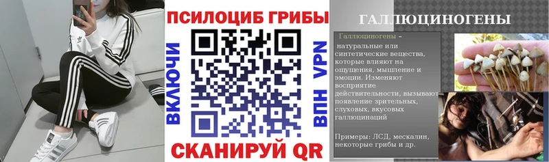 Псилоцибиновые грибы MAGIC MUSHROOMS  blacksprut   Ардон 